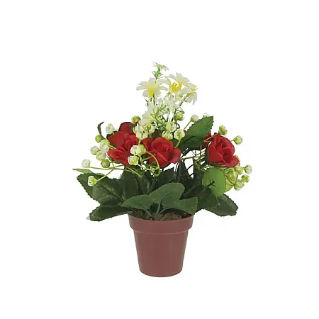 images/uploads/21870/thumb_1-1319 SE KAFE-C.webp
